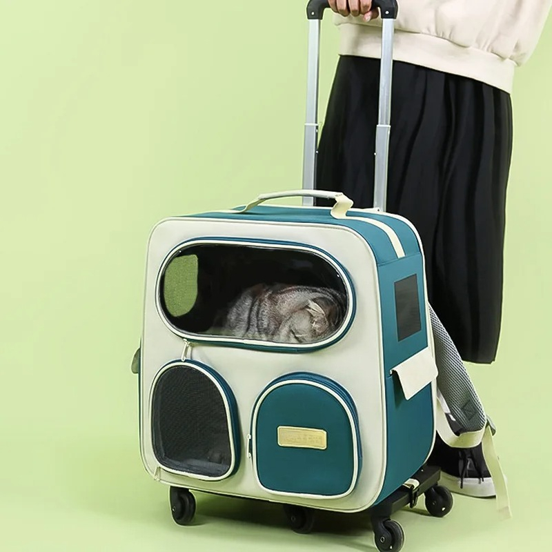 Portable 11.5 Kg Cat Carrier B - Foldable Backpack Small 评论和价格